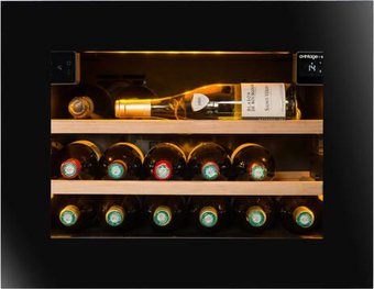 Винный шкаф Avintage AVI45PLATINUM