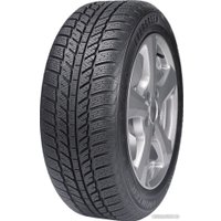 Зимние шины Evergreen EW62 205/65R16 95H