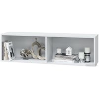 Полка MLK Шарлиз 1 стеклянная дверь (белое сияние/белый снег)