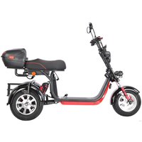 Электроскутер White Siberia CityCoco WS-Pro Trike 3000W 21Ah (с черными брызговиками)