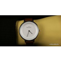 Наручные часы Skagen SKW2214