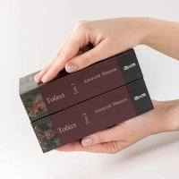 Набор книг издательства Альпина Диджитал. Тобол. (Иванов Александр)