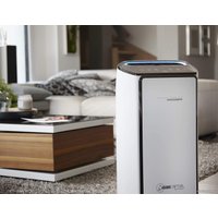 Очиститель воздуха Rowenta Intense pure air Connect XL PU6080F0
