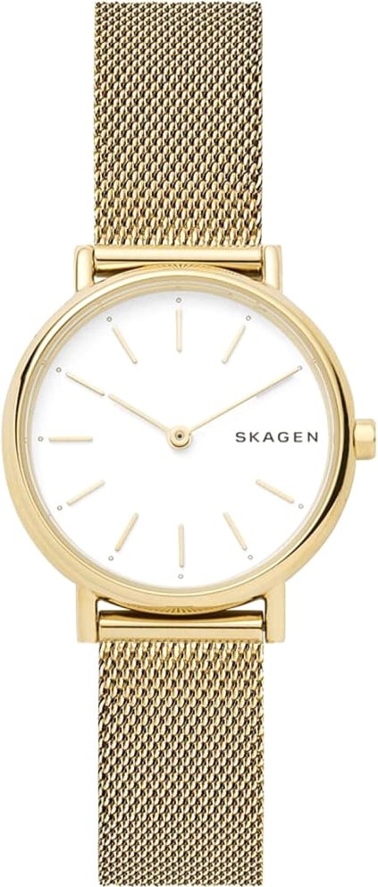 

Наручные часы Skagen SKW2693