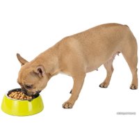 Миска Ferplast Jolie Medium (черный)