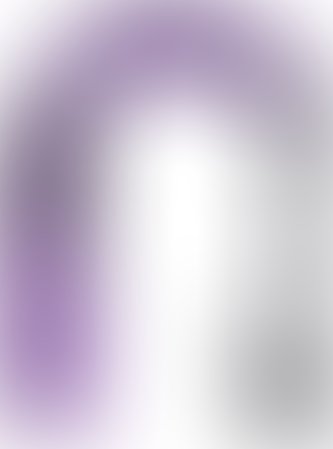 Плеть Kissexpo 296500119 (фиолетовый/черный)