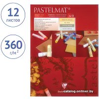 Альбом для рисования Clairefontaine Pastelmat 96017C (12 л)