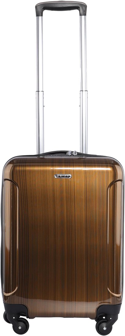 

Чемодан-спиннер Rion+ 466-5 (янтарь)