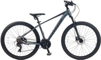 Велосипед Totem Master-29HDA (серый)