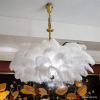 Подвесная люстра L'Arte Luce Feather lamp L03408.02