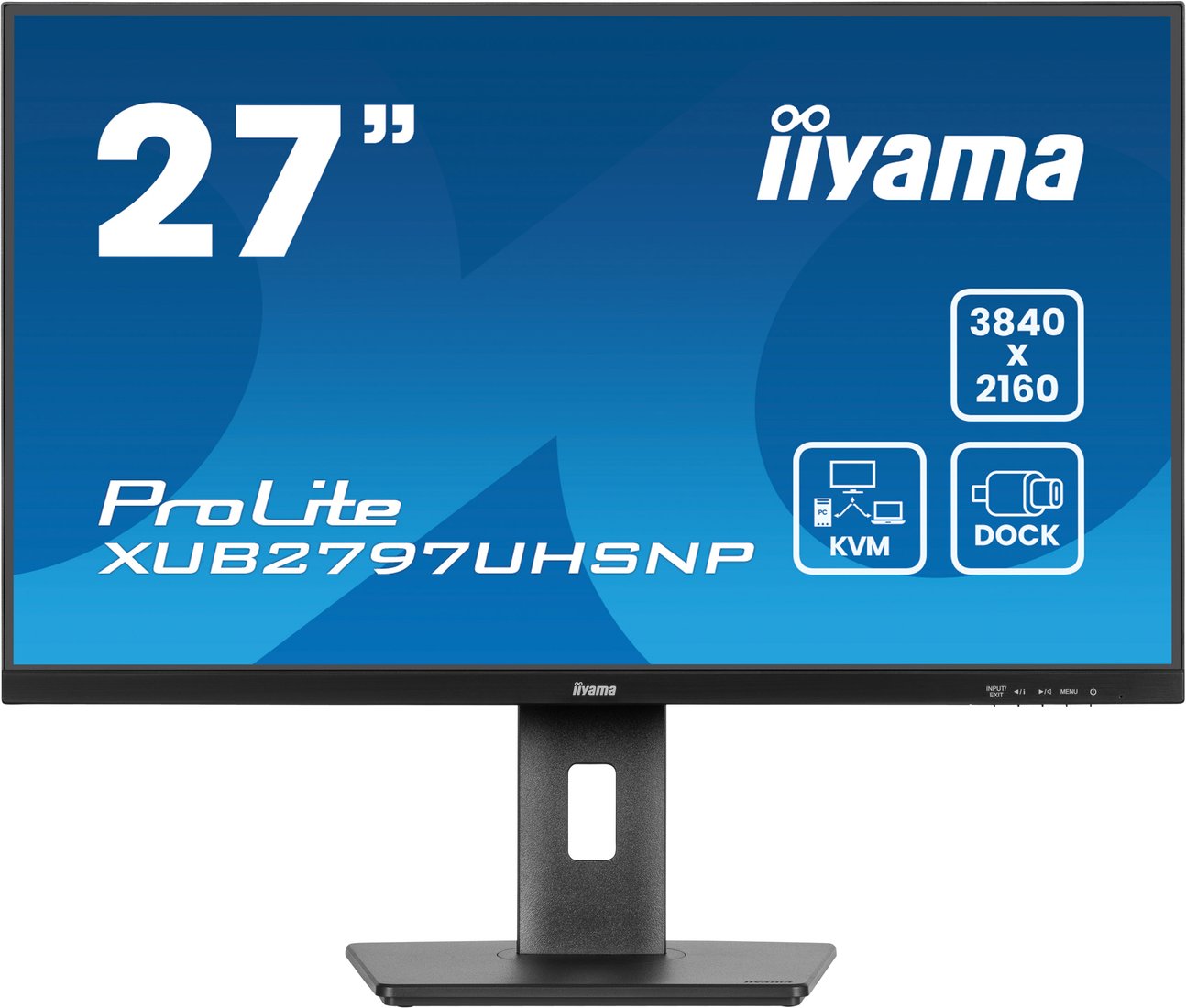 

Монитор Iiyama ProLite XUB2797UHSNP-B1