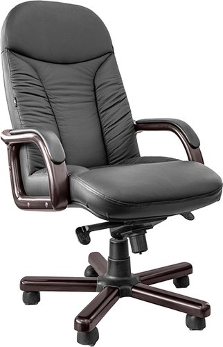 Офисное кресло Directoria Ренуар DB-800 ECO (черный)