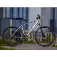 Велосипед Trek Dual Sport 3 (серебристый, 2019)