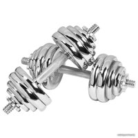 Набор гантелей с соединительным грифом  Alpin DB-30кг