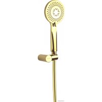 Душевой гарнитур  Deante Arnika Gold NQA Z41K