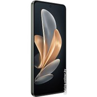 Телефон Vivo V29e 8GB/256GB международная версия (таинственный лес) в Борисове