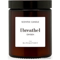 Ароматизированая свеча Ambientair The Olphactory. Кислород VV135OXTO