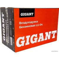 Ручная воздуходувка Gigant LU-04