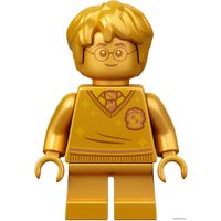 Конструктор LEGO Harry Potter 76386 Хогвартс: ошибка с оборотным зельем