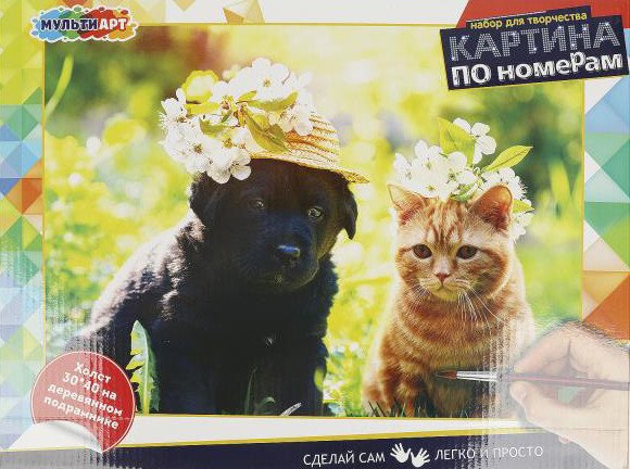 

Картина по номерам MultiArt Кот и собака CANV30X40-MULTI68