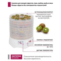 Сушилка для овощей и фруктов Мастерица EFD-0903VM (с прозрачными поддонами)