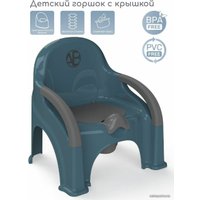 Детский горшок Amarobaby Baby chair AB221105BCh/18 (бирюзовый)