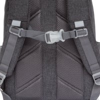 Школьный рюкзак Grizzly RG-267-3/1 (серый)