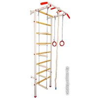 Детский спортивный комплекс Экта Спортивный комплекс СК1У с навесным оборудованием белый/красный