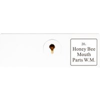 Набор микропрепаратов Bresser «Животные», 30 шт., в кейсе 74559 в Гомеле