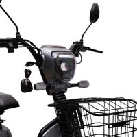 Электровелосипед Ecoliner Hulk Bluetooth 240Вт 48В 23А/ч (серый)