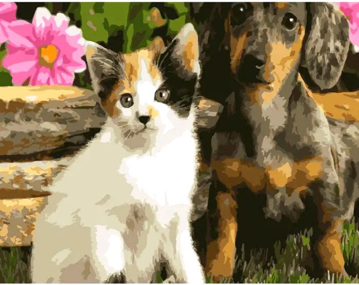 

Алмазная мозаика Darvish Котенок и щенок DV-9516-19