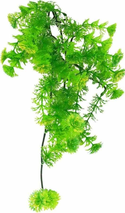 

Искусственное растение Lucky Reptile Turtle Plant Horn Fern TP-42