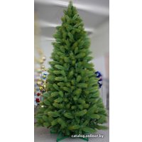 Кедр Green Trees Канадский Премиум 7 м