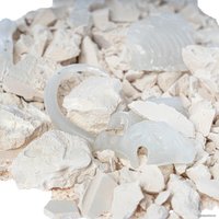 Набор для опытов Bondibon Исторические раскопки. Мамонт ВВ5145