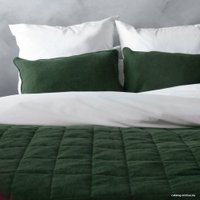 Покрывало Pasionaria Софт 160x220 с наволочками (изумрудный)