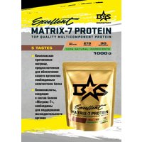 Протеин комплексный Binasport Excellent Matrix-7 Protein (1000г, имбирный пряник)