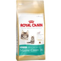 Сухой корм для кошек Royal Canin Kitten Maine Coon 36 4 кг