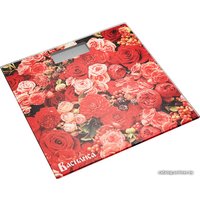 Напольные весы Василиса ВА-4010 Цветы