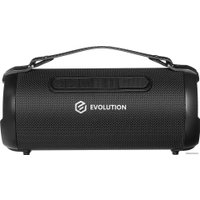 Беспроводная колонка Evolution BOOM-101 (черный)