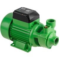 Садовый насос ECO GFW-8P