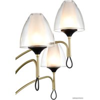 Подвесная люстра Vele Luce Oro VL5654P16