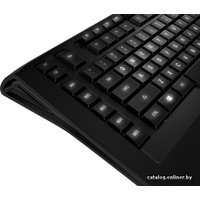 Клавиатура SteelSeries Apex [RAW]