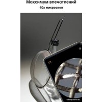 Телефон Oppo Reno8 T CPH2481 8GB/128GB международная версия (оранжевый) в Борисове