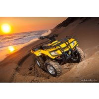 Квадроцикл Stels ATV 400 Hunter