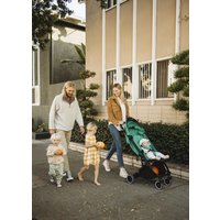 Коляска прогулочная «книга» Anex Air-x 2022 (green)