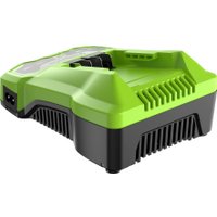 Зарядное устройство Greenworks G24C4 (24В)