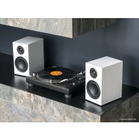 Полочная акустика Triangle LN01 (белый)