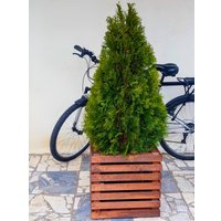 Кашпо Четыре Солнца Кубик (коричневый)