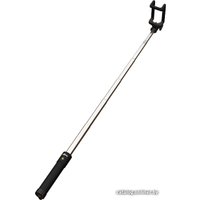 Палка для селфи Ritmix RMH-350BT (черный)