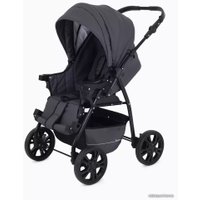 Джип-трансформер Rant Basic Riva PW 01 (2 в 1, graphite)